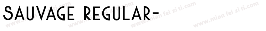 Sauvage Regular字体转换